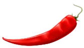 Amman-chilli-part