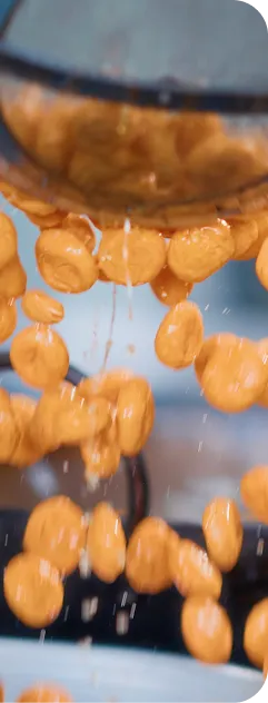 Amman-delicious