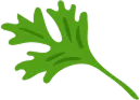 Amman-leaf